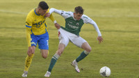 fotbal jb plestil teplice